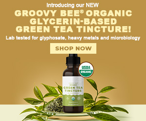 Groovy-Bee-Organic-Glycerin-Based-Green-Tea-Tincture-MR.jpg
