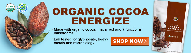 Groovy Bee Organic Cocoa Energize