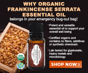 Organic-Frankincense-Serrata-MR.jpg