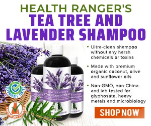 Tea-Tree-and-Lavender-Shampoo-MR.jpg